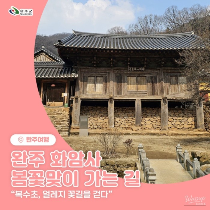 Spring Flowers on the Path to Hwaamsa Temple343