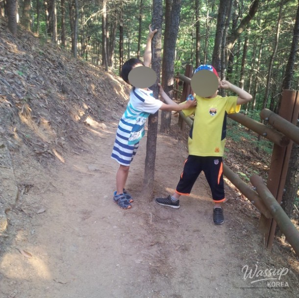 Exploring Hidden Gems in Goyang City_03