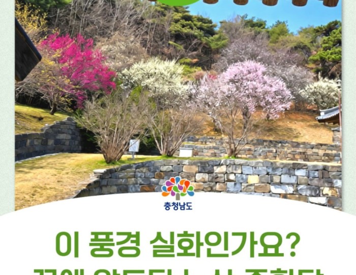 Exploring Jonghakdang: A Cultural Heritage Site in Nonsan float