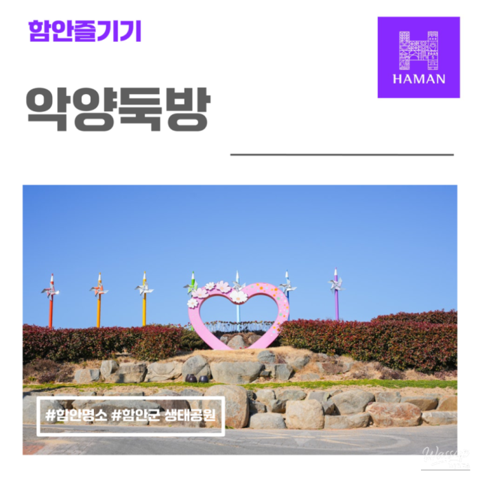 Healing Walks Along the Akyang Dike in Hamann1569