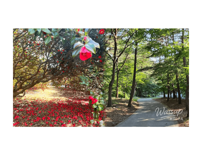 Spring Travel Destinations in Seocheon, South Korea float