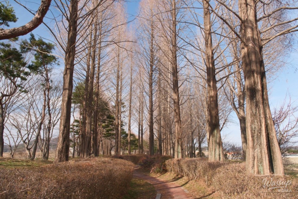 Exploring Beopsu Park in Korea_09