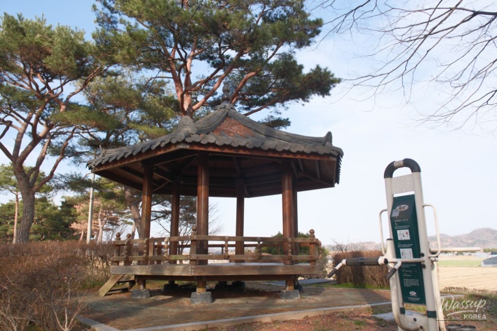 Exploring Beopsu Park in Korea_14