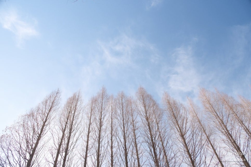 Exploring Beopsu Park in Korea_03