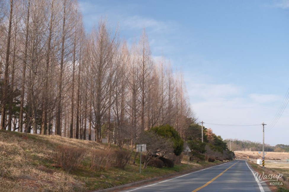 Exploring Beopsu Park in Korea_02
