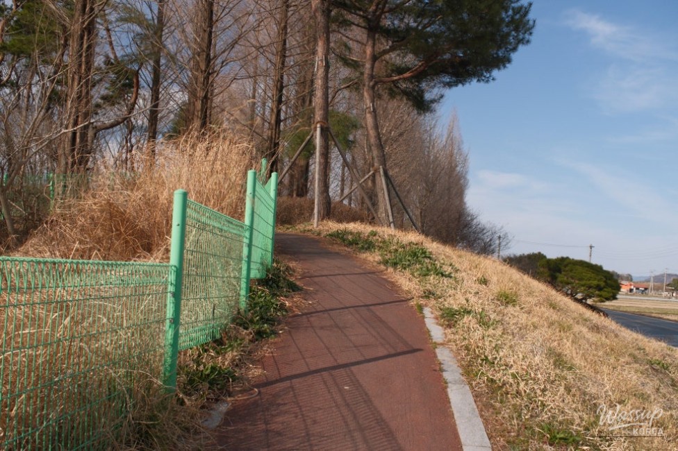 Exploring Beopsu Park in Korea_07