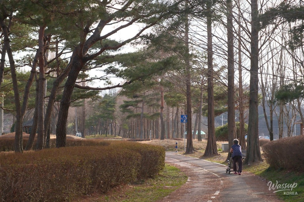 Exploring Beopsu Park in Korea_20