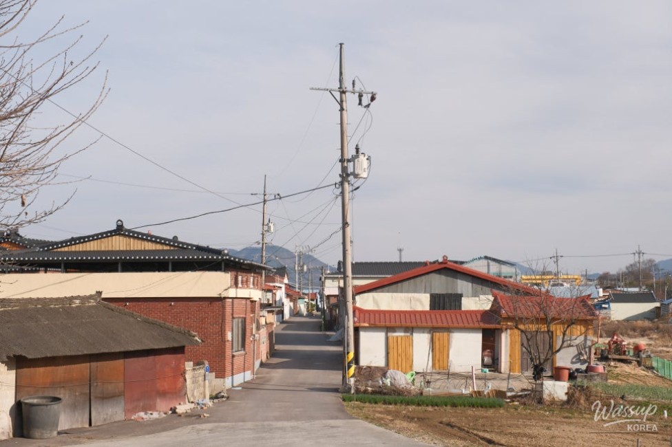 Exploring Beopsu Park in Korea_06