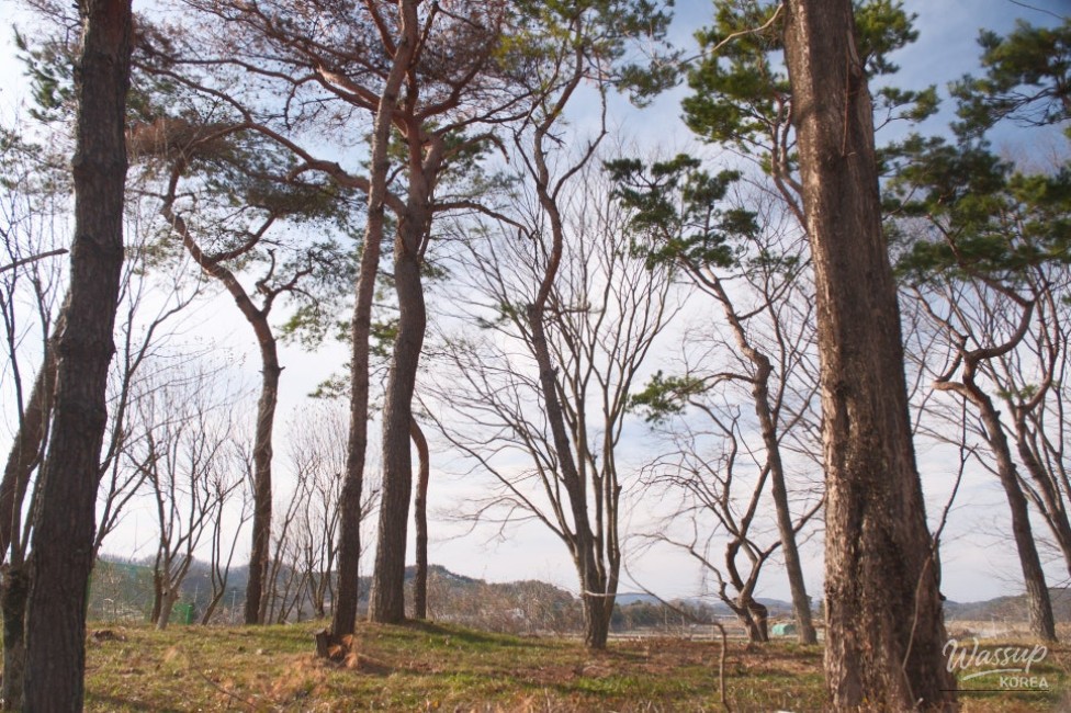 Exploring Beopsu Park in Korea_08