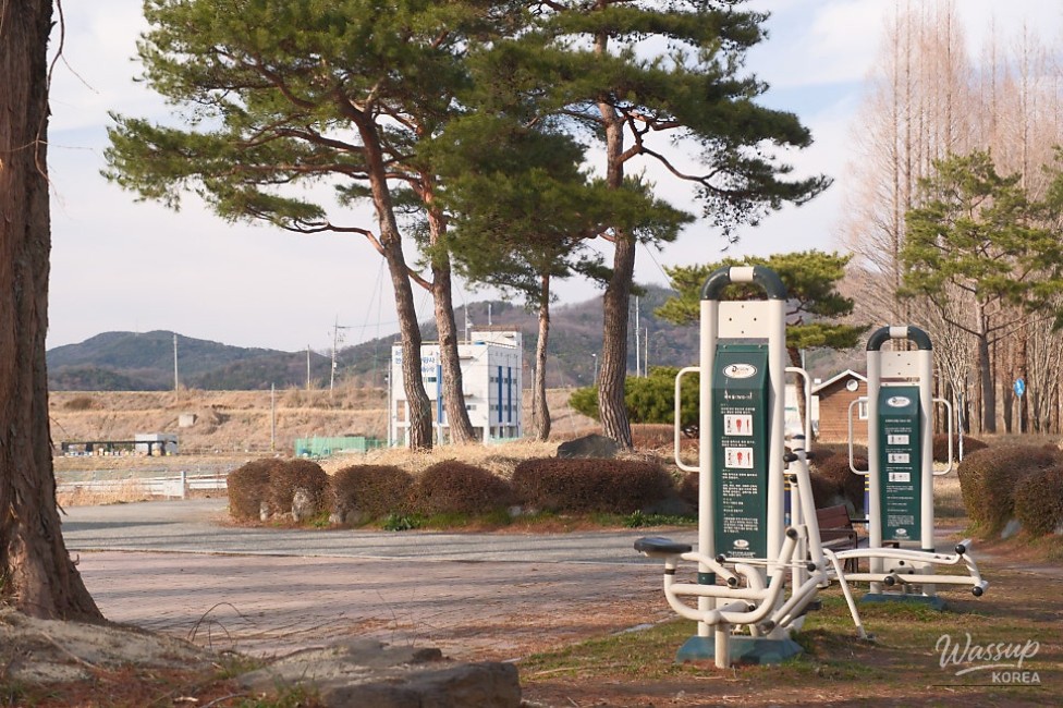 Exploring Beopsu Park in Korea_15