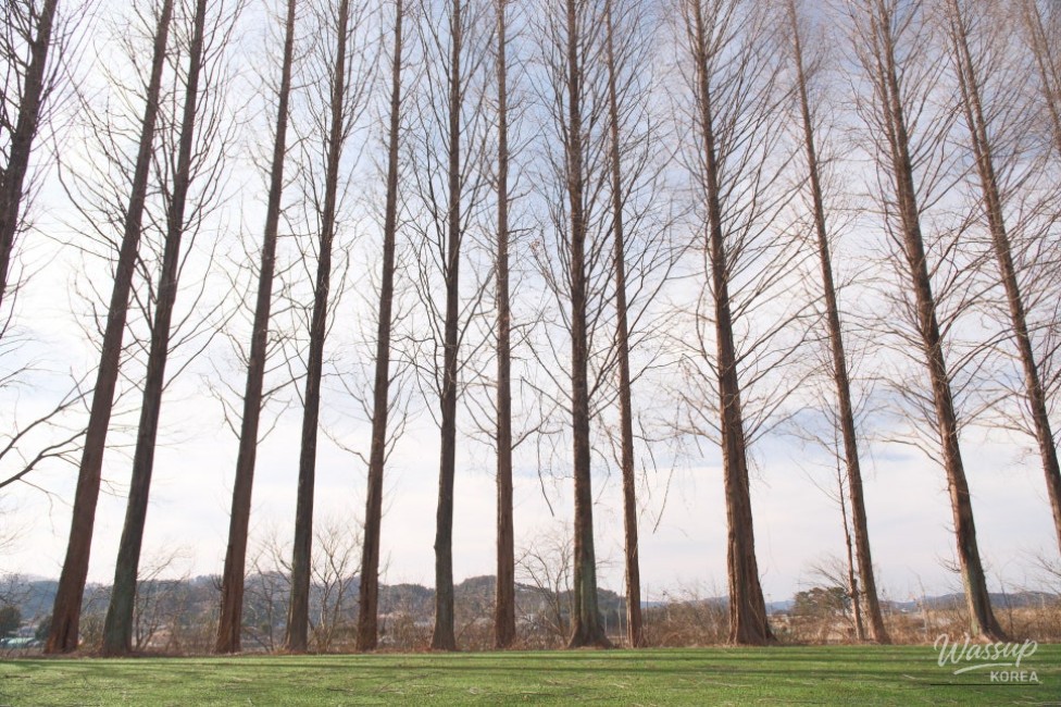 Exploring Beopsu Park in Korea_12