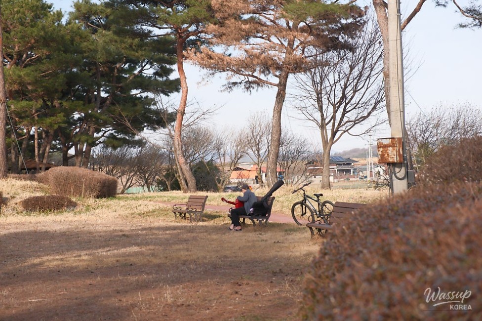 Exploring Beopsu Park in Korea_17