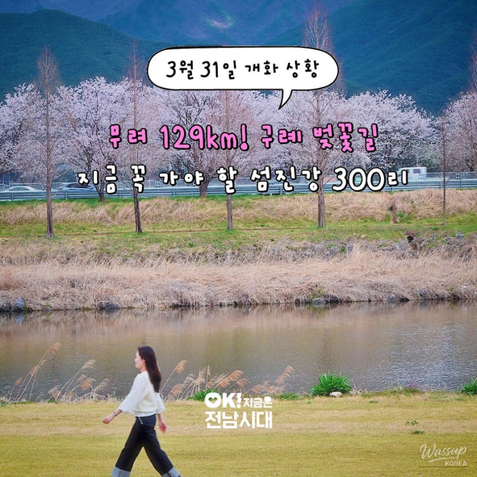 Discovering the 300-ri Cherry Blossom Road in Gurye_05