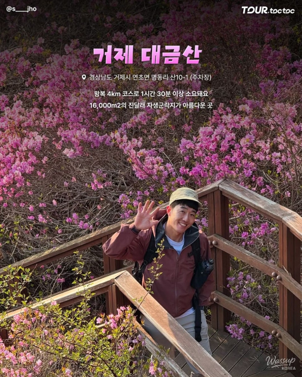 Spring Rhododendron Photo Spots: A Comprehensive Guide_07