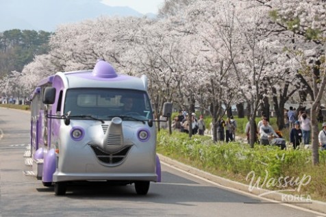 2026 Seoul Grand Park Spring Flower Festival_03