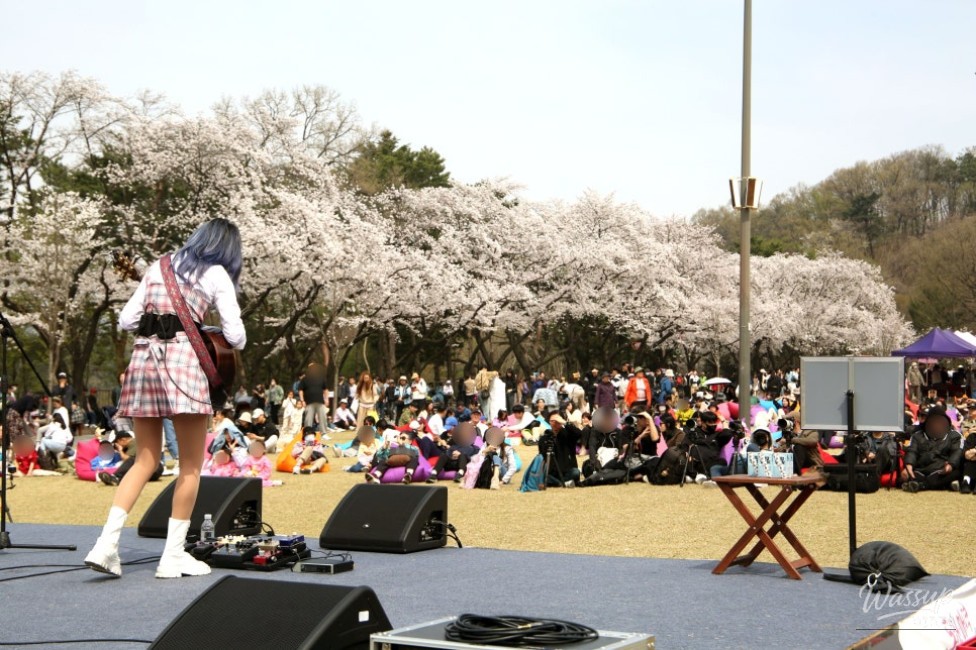 2026 Seoul Grand Park Spring Flower Festival_05