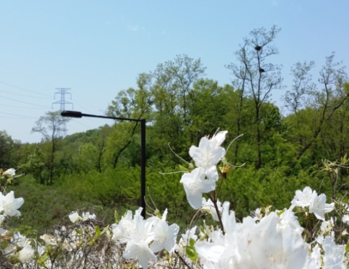 Exploring the Nature Trail of Goyang City float