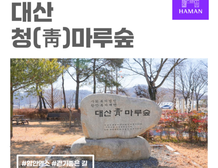 Exploring Daesan Cheongmaru Forest float