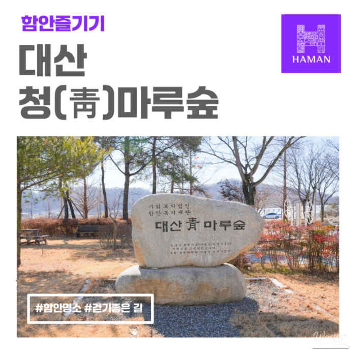 Exploring Daesan Cheongmaru Forest1582