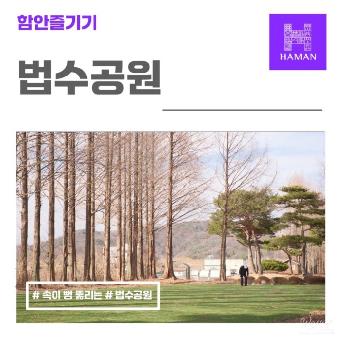 Exploring Beopsu Park in Korea1581