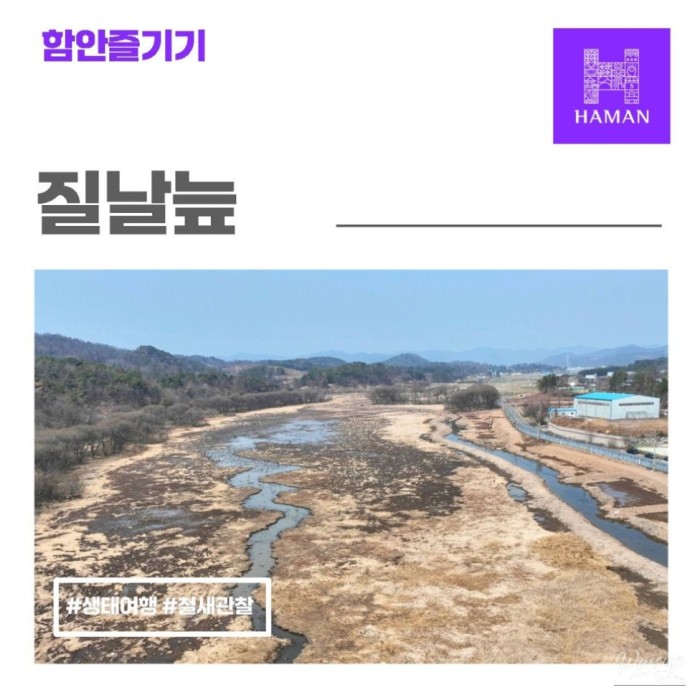 Exploring the Hamann Jilnal Wetland1578