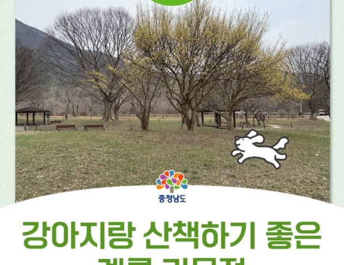 Exploring Gyemokjeong Park in Gyeryong City float