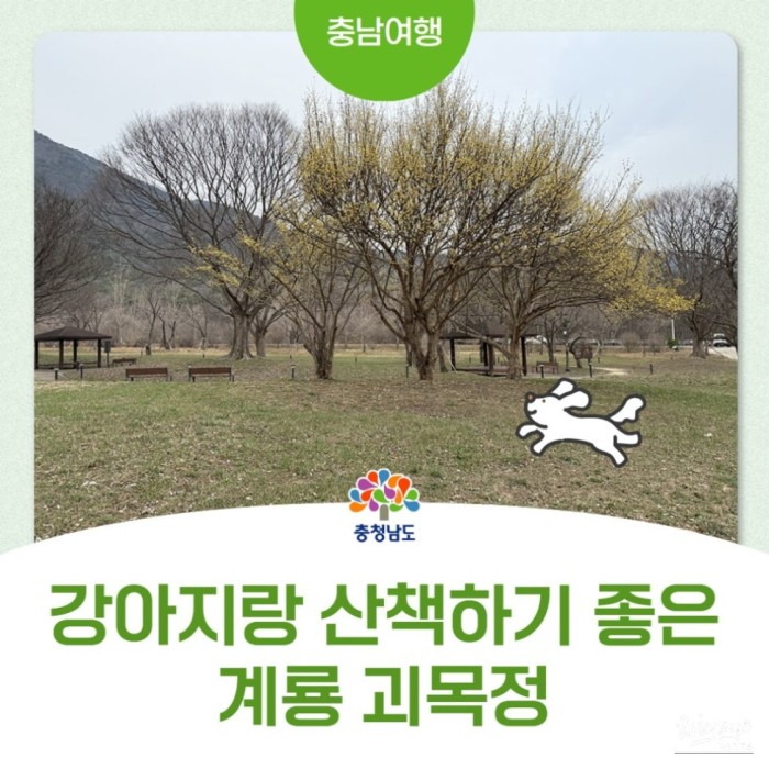 Exploring Gyemokjeong Park in Gyeryong City3092