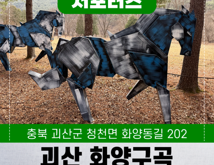 Discovering the Beauty of Hwayanggugok in Goesan float