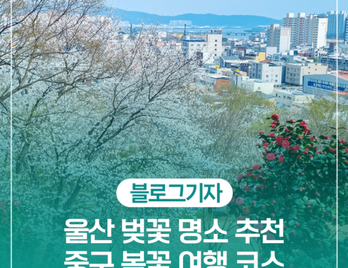 Cherry Blossom Spots in Ulsan: A Spring Delight float