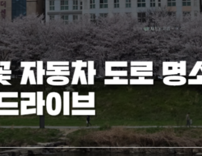 Cherry Blossom Drive in Jeonju float