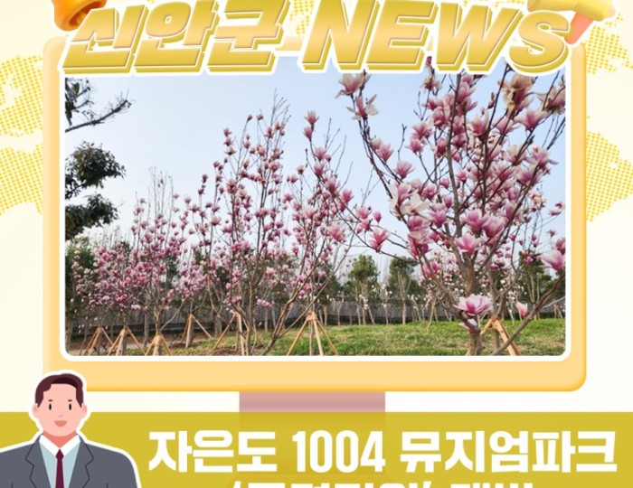 Spring Blossoms at Jaeun Island's Magnolia Garden float