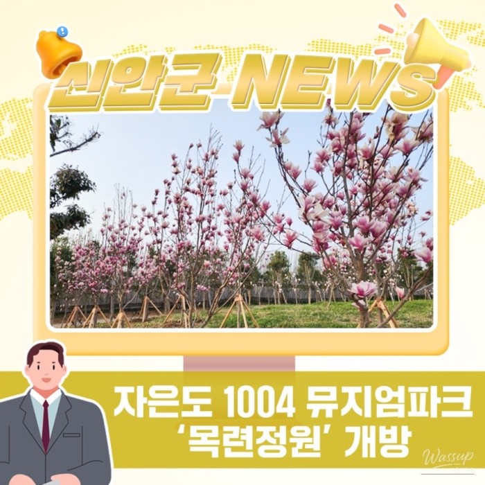 Spring Blossoms at Jaeun Island's Magnolia Garden3087