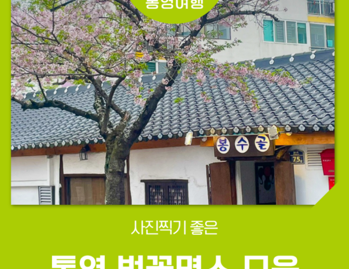 Spring Cherry Blossom Spots in Tongyeong float