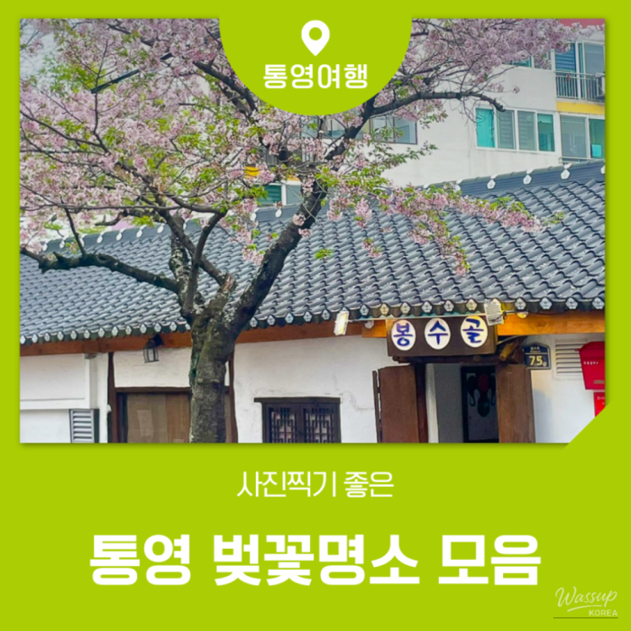 Spring Cherry Blossom Spots in Tongyeong2068