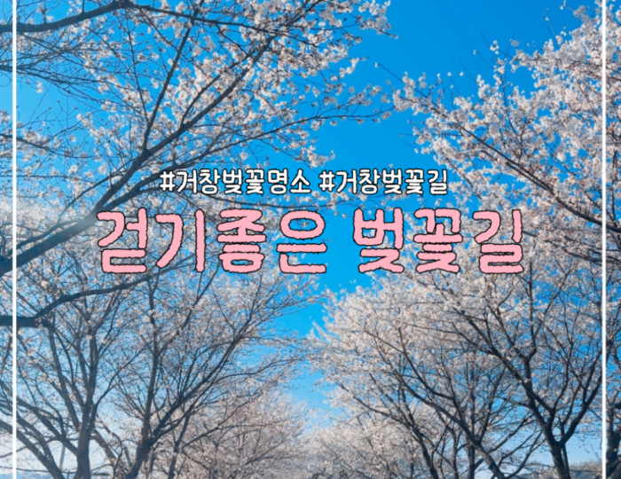 Cherry Blossom Walks in Geochang float