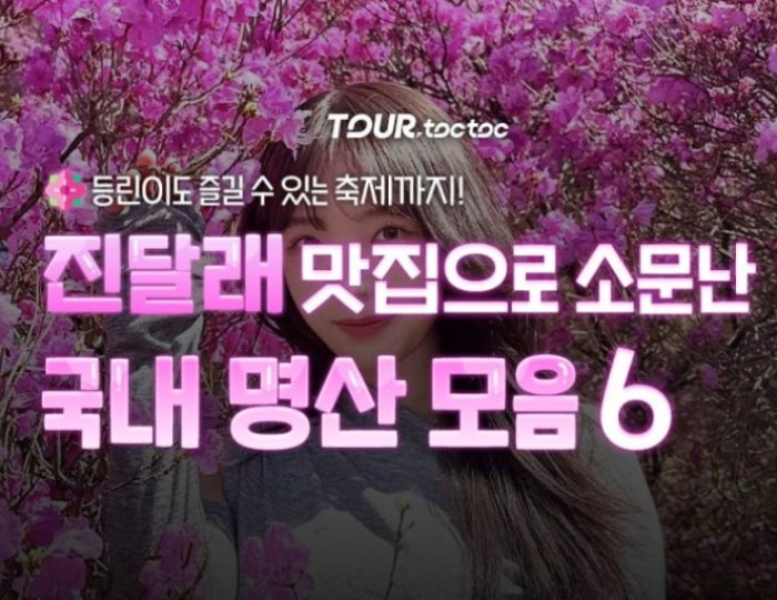 Spring Rhododendron Photo Spots: A Comprehensive Guide float