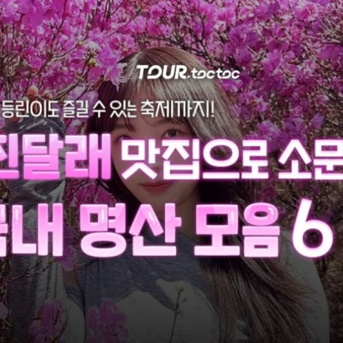 Spring Rhododendron Photo Spots: A Comprehensive Guide3113