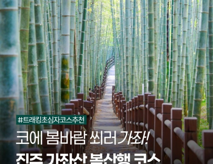 Spring Hiking Course Recommendation at Gajwasan, Jinju float