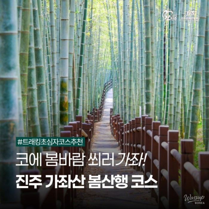 Spring Hiking Course Recommendation at Gajwasan, Jinju3105