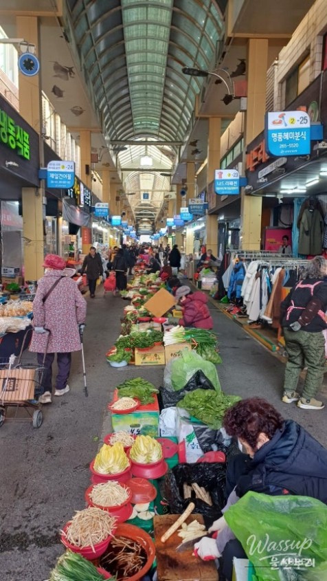 A Spring Journey Through Namsan_03