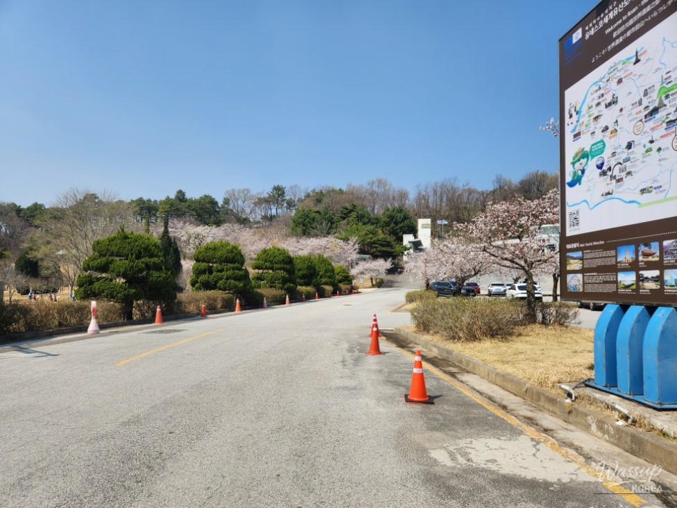 Quiet Cherry Blossom Spot in Jeonbuk: Iksan Seodong Park_03
