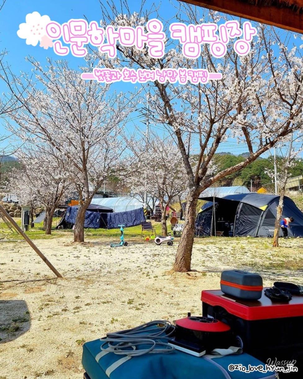 Spring Blossom Adventure: Cherry and Apricot Blossoms in Yanggu_08