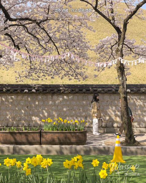 2026 Gyeongju Daereungwon Stone Wall Festival Begins!_03