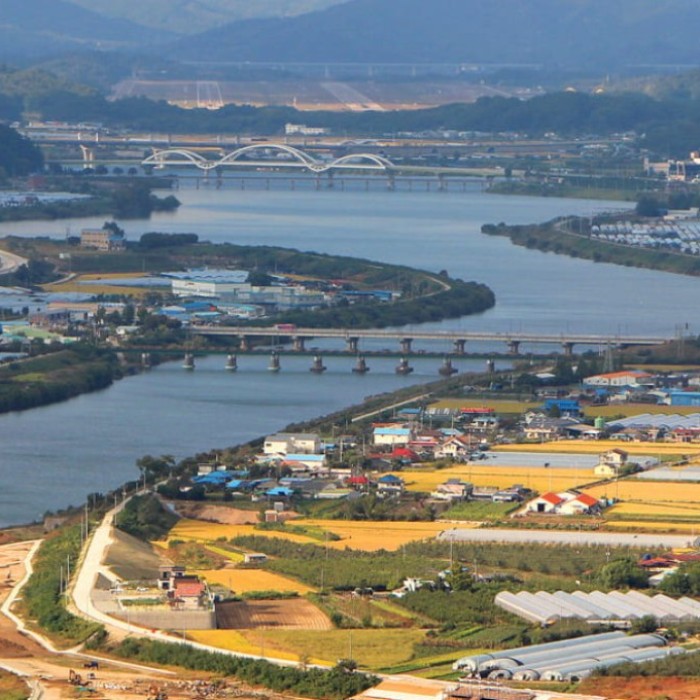 Exploring the Beauty of Tangeumdae in March3122