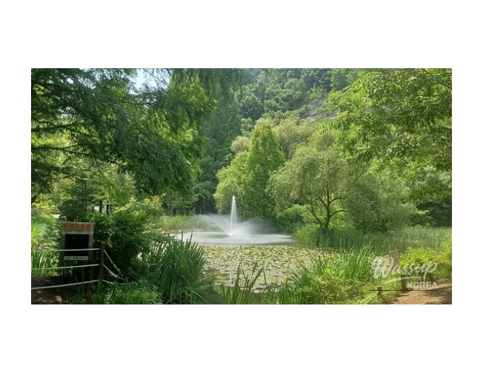 Discovering the Enchanting Nakgang Waterway Park in Andong float