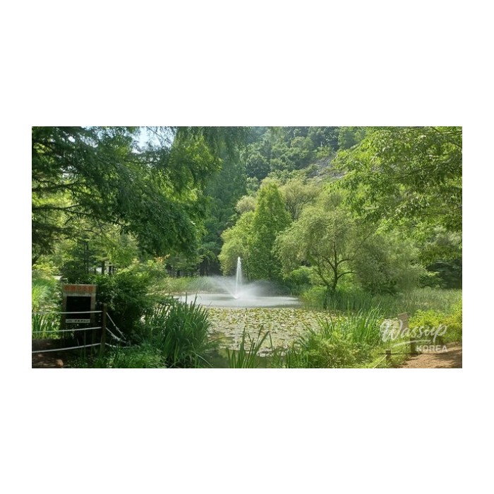 Discovering the Enchanting Nakgang Waterway Park in Andong3116