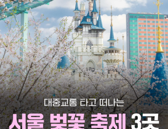 Explore the Cherry Blossom Festivals in Seoul float