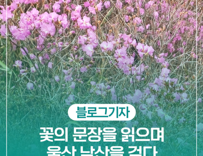 A Spring Journey Through Namsan float