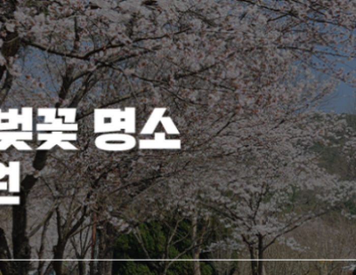 Quiet Cherry Blossom Spot in Jeonbuk: Iksan Seodong Park float