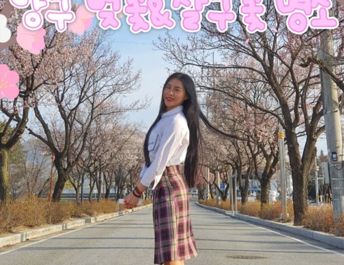 Spring Blossom Adventure: Cherry and Apricot Blossoms in Yanggu float